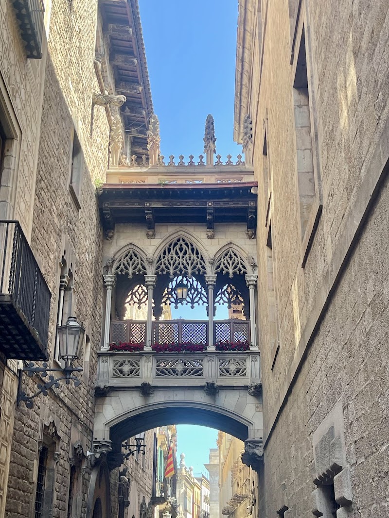 Gothic Quarter & Pont del Bisbe