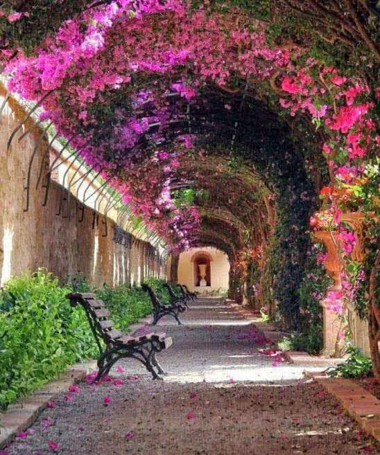 Jardín de Monforte