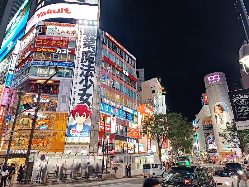 Shibuya Crossing