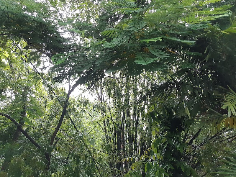 Paco Park Cemetery
