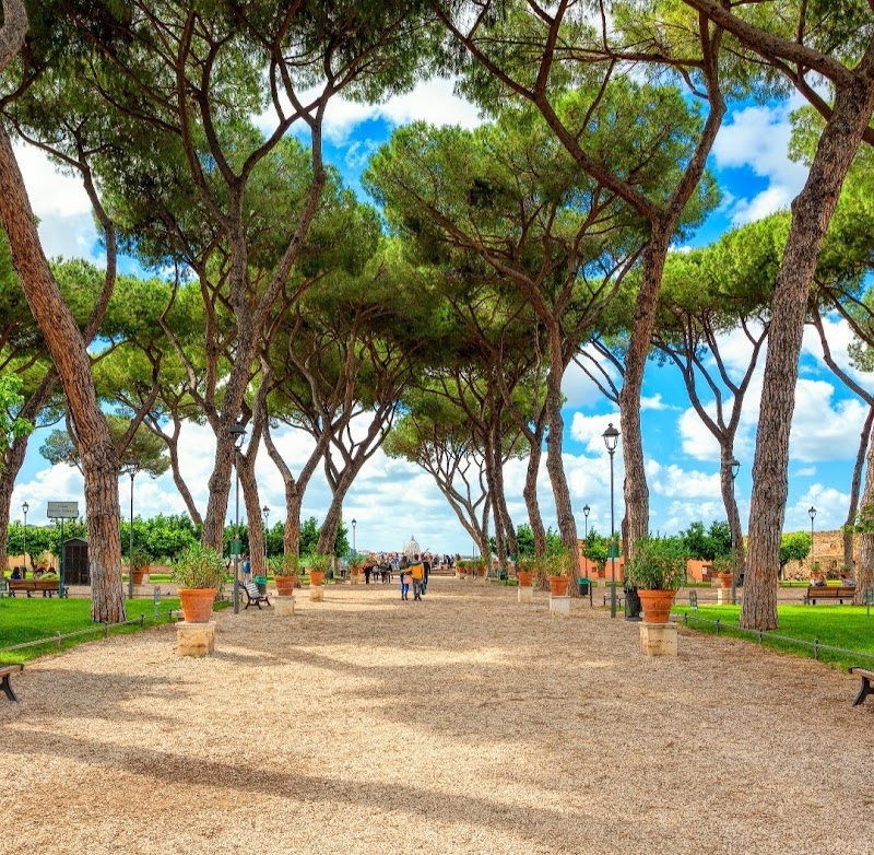 Orange Garden