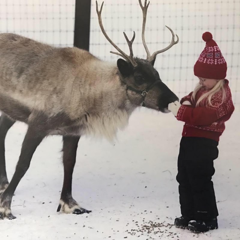 Leavenworth Nutcracker Museum