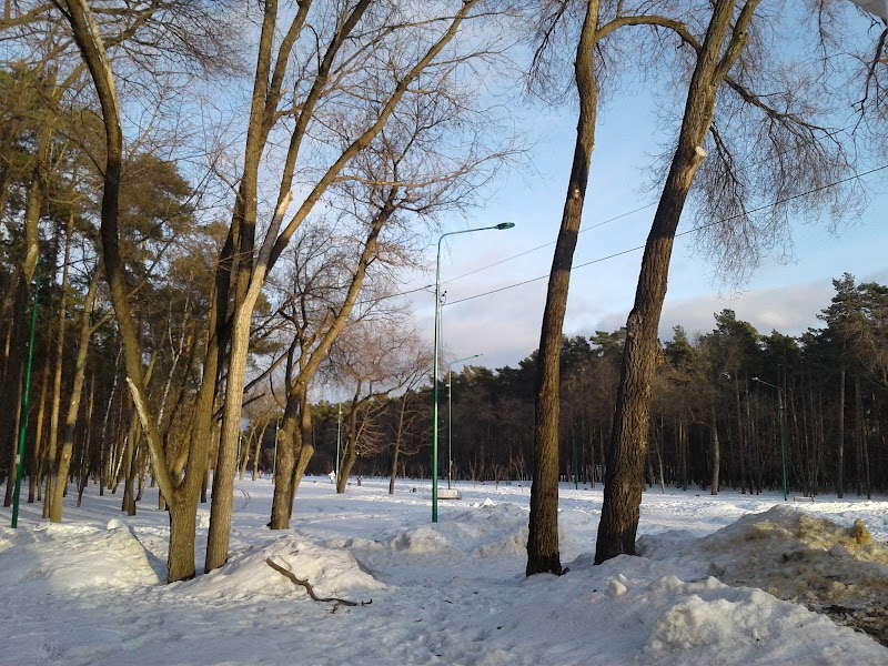 Музей народно-декоративного искусства