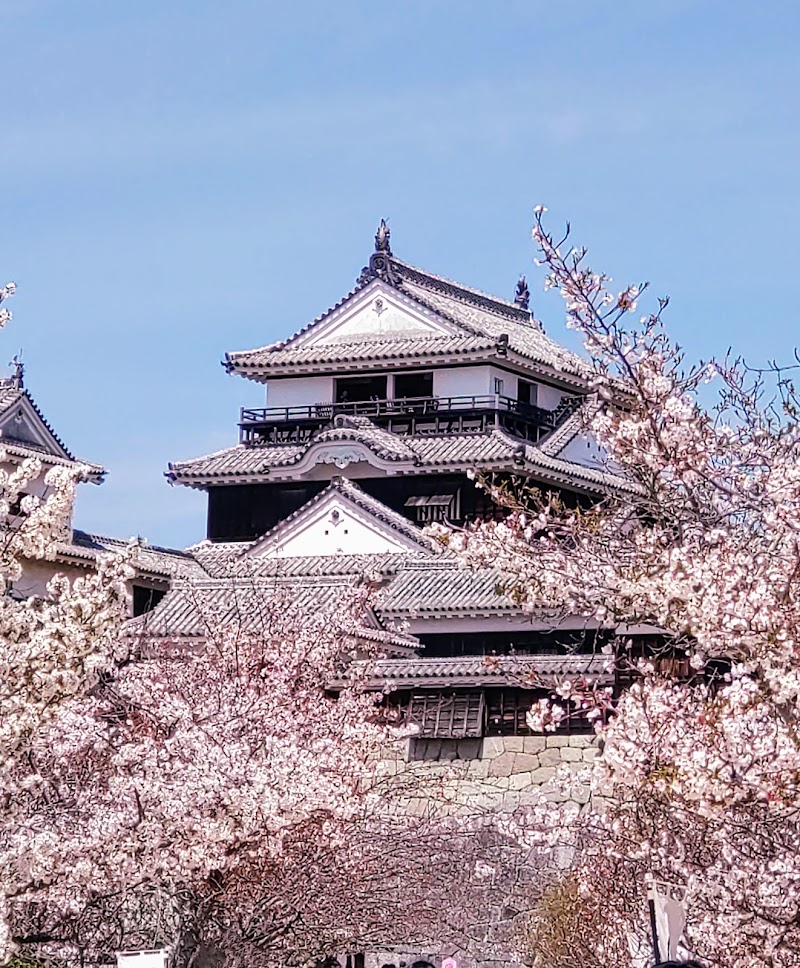 Matsuyama Castle Ropeway & Grounds