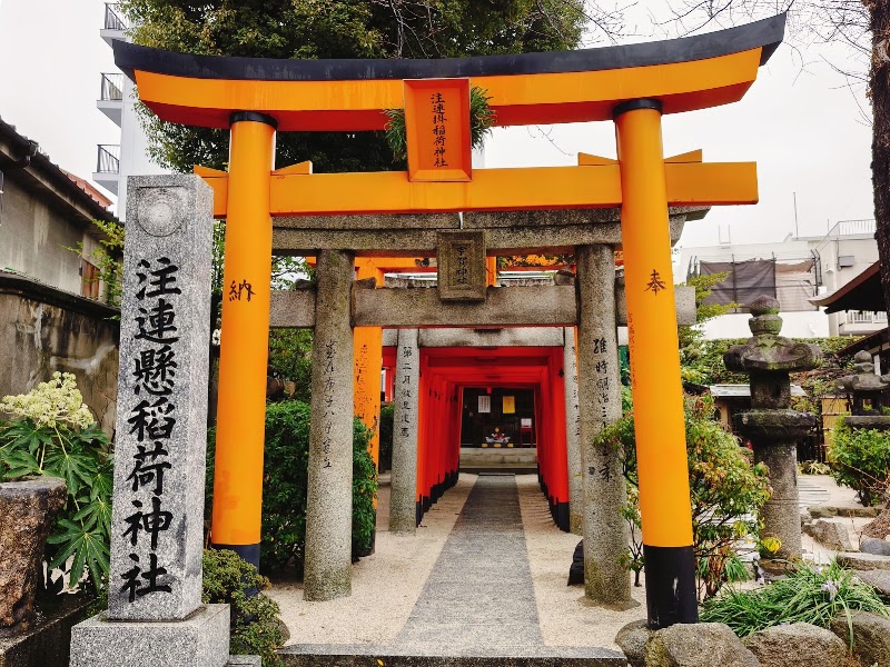 🚶 Walk to Kushida Shrine