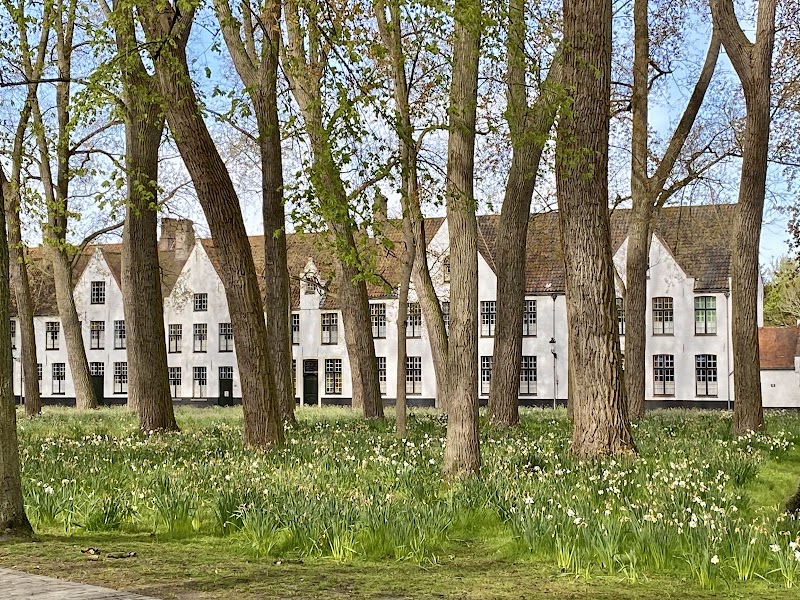Бегинаж Тен Вейнгарде (Begijnhof)