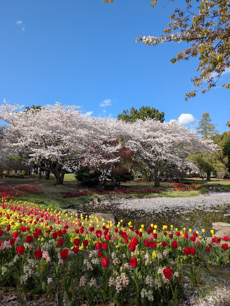 Beppu Park