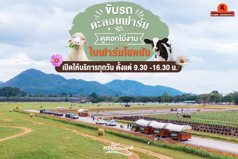 🚕 Дорога до Farm Chokchai