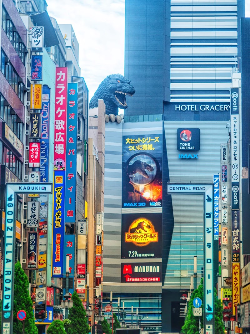 Godzilla Head & 3D Cat