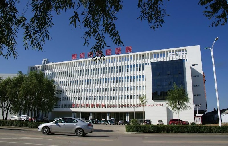 Международный вечерний рынок Хэйхэ