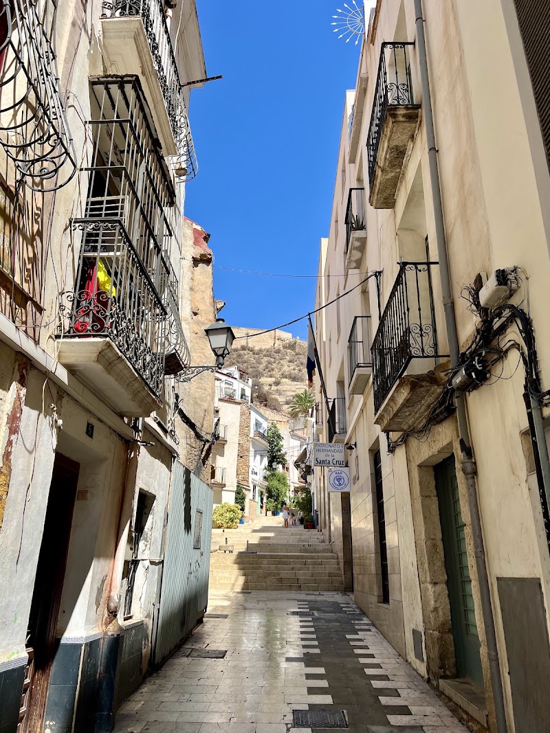 Torrevieja → Alicante