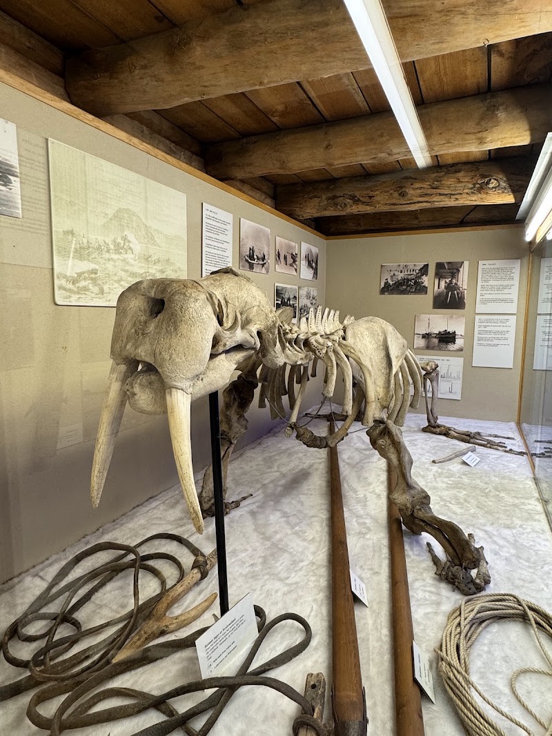Skansen
