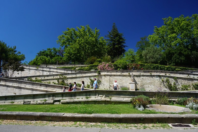 Palais des Papes (Папский дворец)