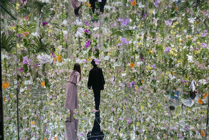 teamLab Planets TOYOSU