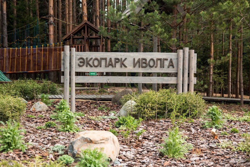 Набережная Плёса (Памятник кошке Мухе и Дачнице)