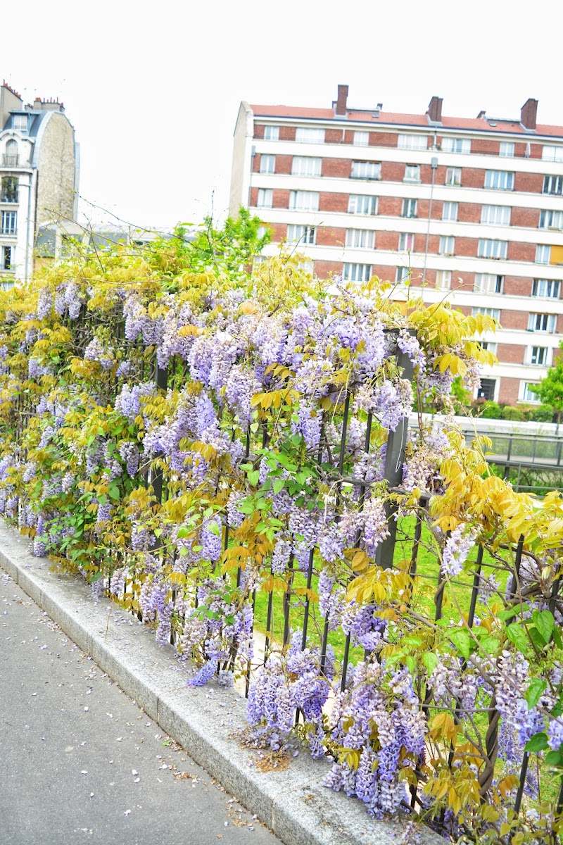 Cité Florale