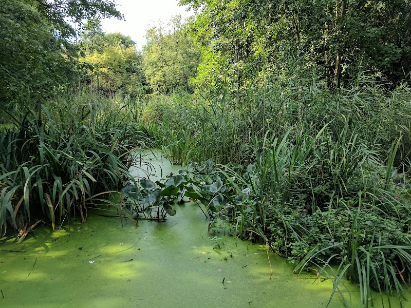 Camley Street Natural Park & Coal Drops Yard
