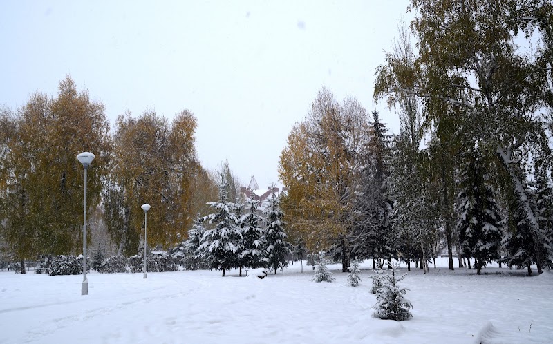 Парк имени Кирова
