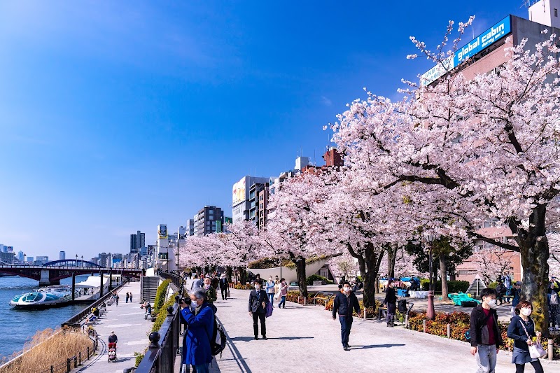 🚶 Walk to Sumida Park