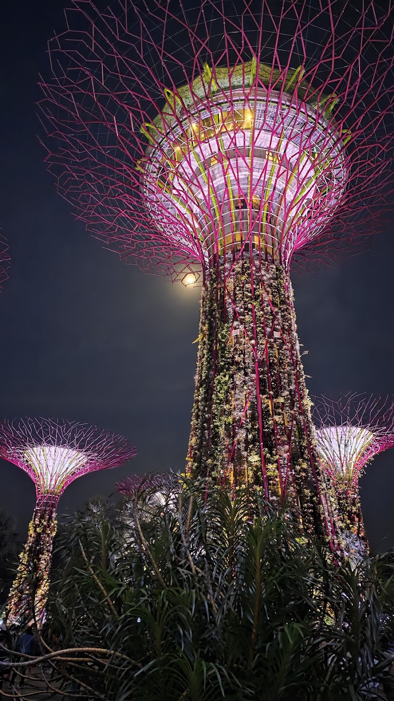 Gardens by the Bay