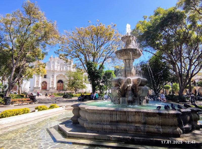 Parque Central
