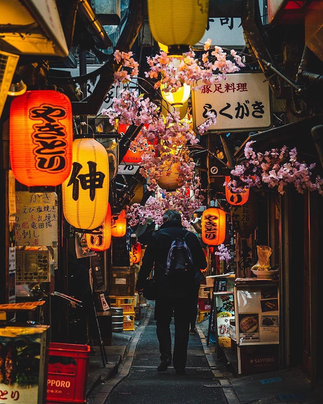 Omoide Yokocho & Kabukicho
