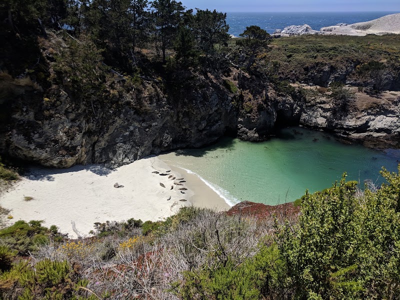 Point Lobos State Natural Reserve