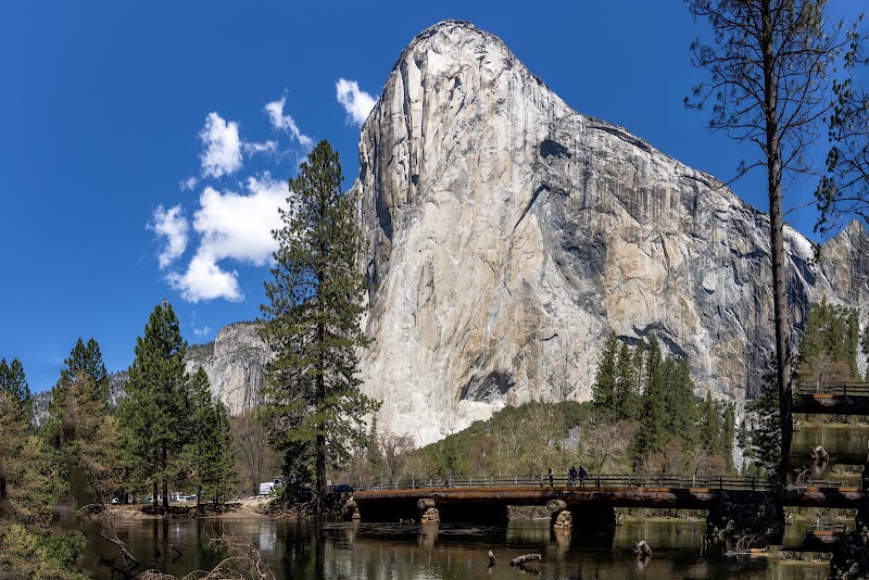 El Capitan Meadow
