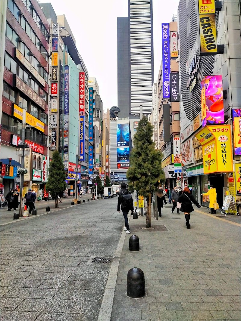Shibuya Crossing