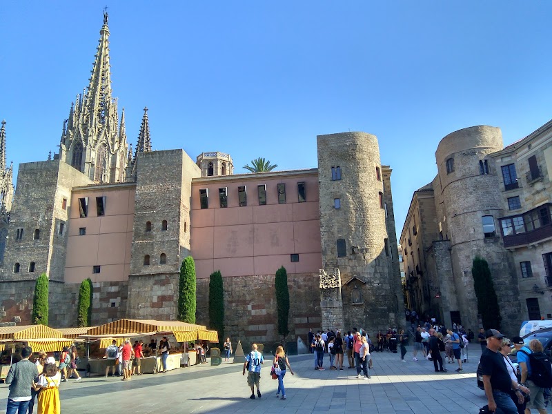 Gothic Quarter (Plaça Nova & Cathedral)