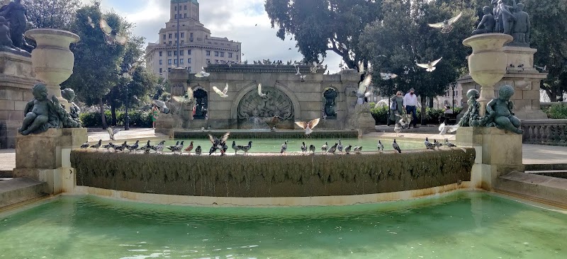 🚶 Walk to Gothic Quarter