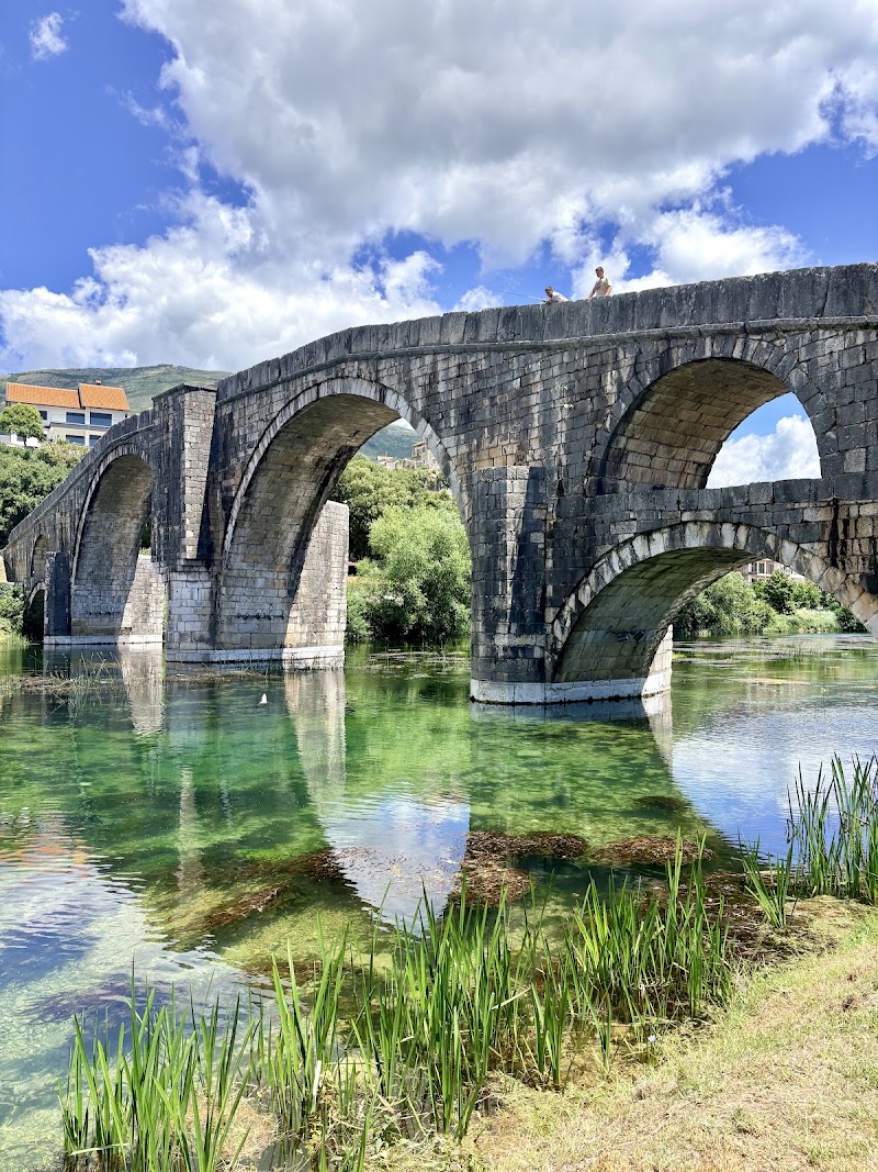 Arslanagića most