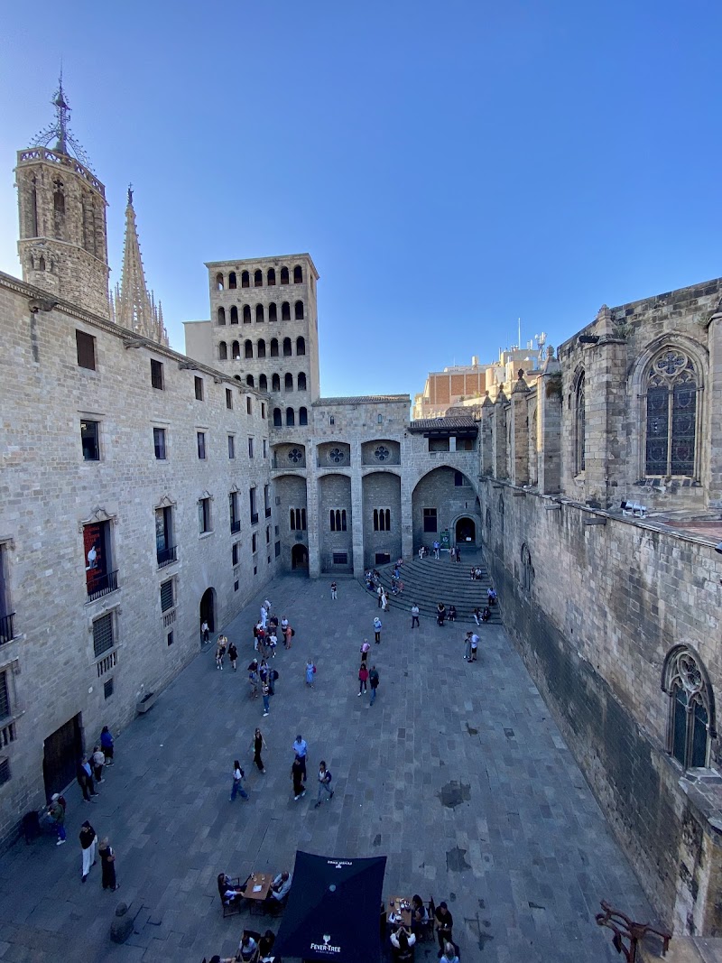 Gothic Quarter (Plaça del Rei)
